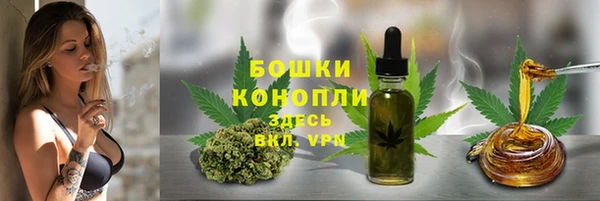 ПСИЛОЦИБИНОВЫЕ ГРИБЫ Абаза