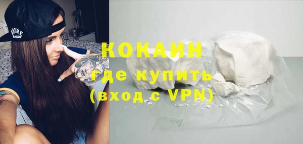 ПСИЛОЦИБИНОВЫЕ ГРИБЫ Абаза