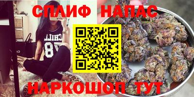 spice Кингисепп