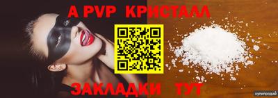 spice Кингисепп