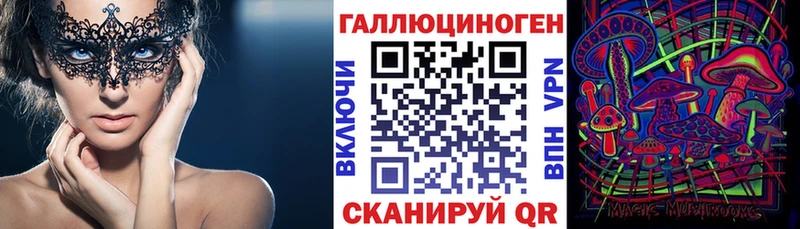 Галлюциногенные грибы Psilocybe Котовск
