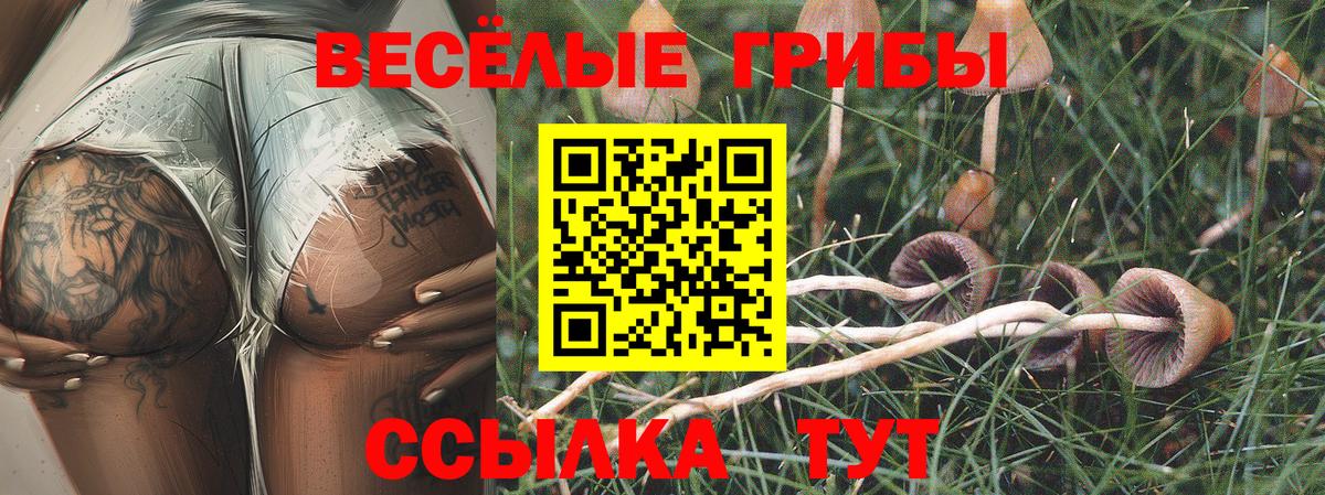 Псилоцибиновые грибы MAGIC MUSHROOMS  Вход с VPN  наркошоп  Котовск 